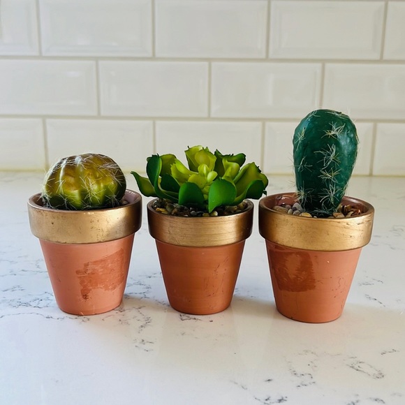 Pier 1 set of three faux mini decorative cactus - Picture 5 of 15
